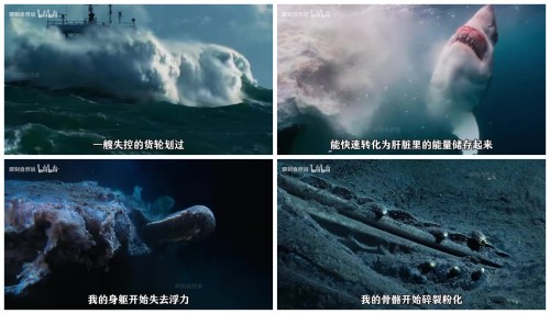 whalefall-collage.jpg